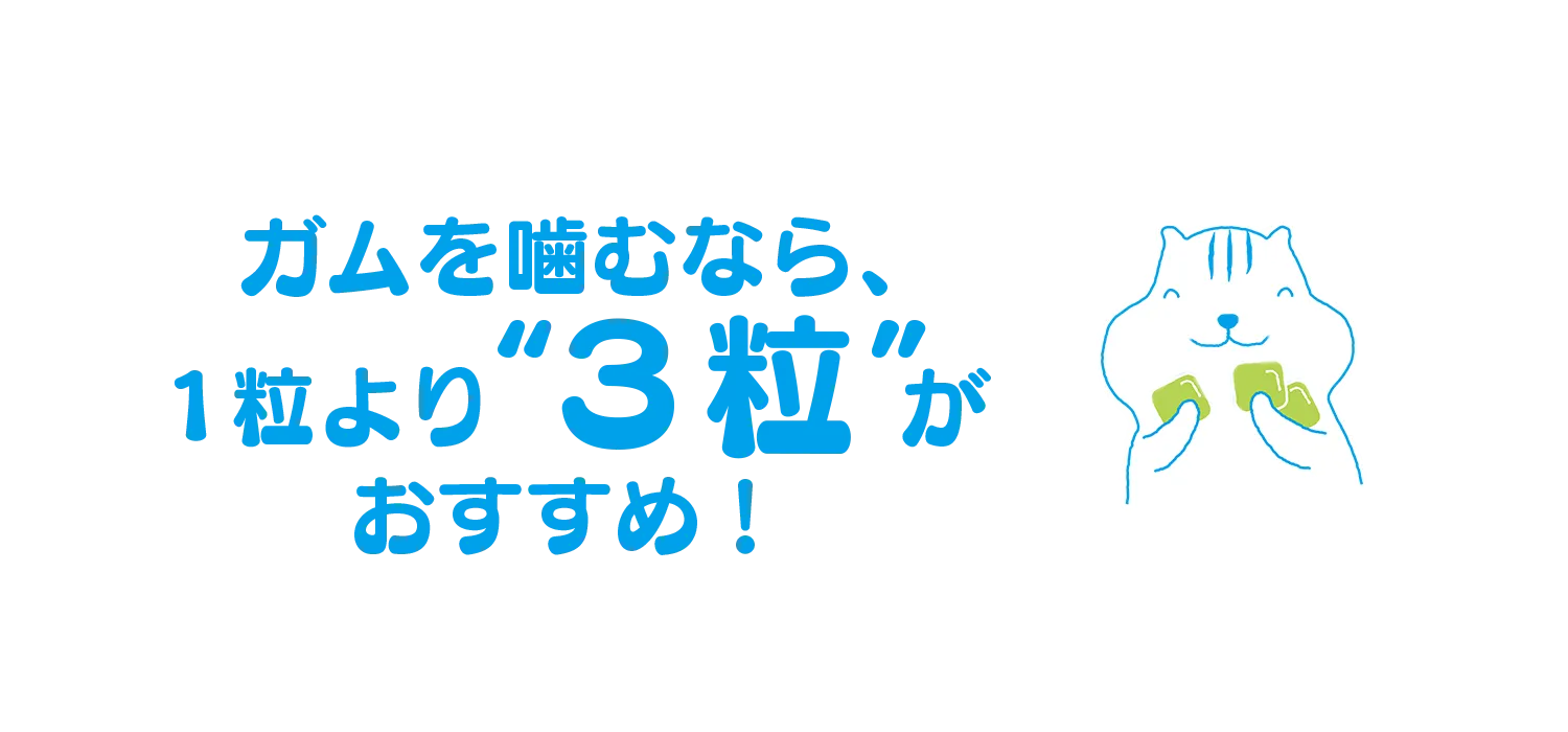 mainvisual
